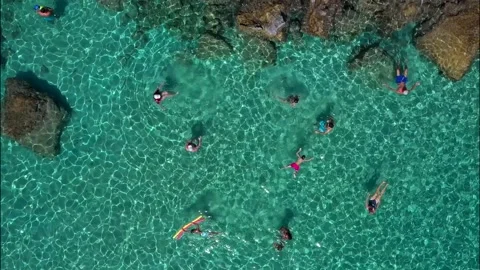 Sand and stone Beach with crystal blue water from drone. Jumping and swiming Stock Footage 153473648