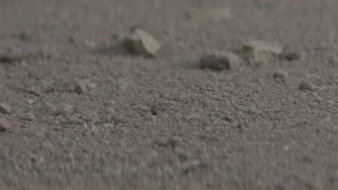 Sand and stone movement, slow motion Stock Footage 233353759