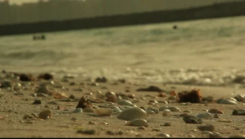 SAND AND SUN Stock Footage 10887882