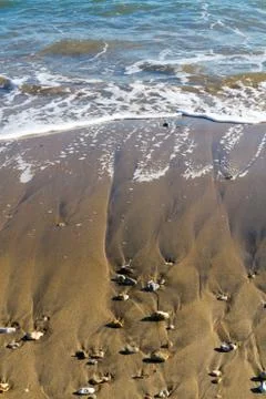 Sand and surf Stock Photos