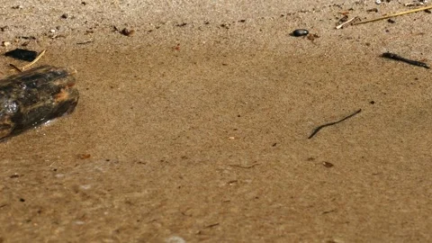 Sand and water01 Stock Footage 284840814