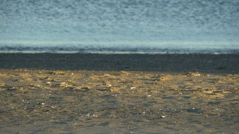 Sand and waves breaking on the beach Stock Footage 73890236
