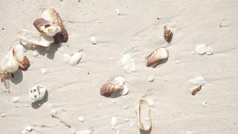 SAND AND WAVES Vidéo 300053653