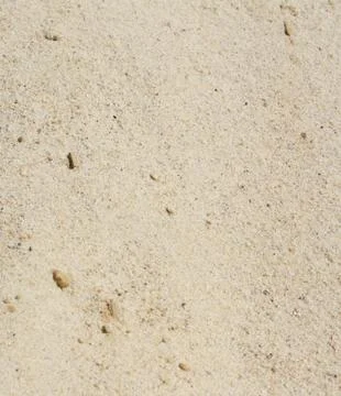 Sand background Stock Illustration
