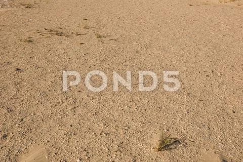 Sand background Stock Photos