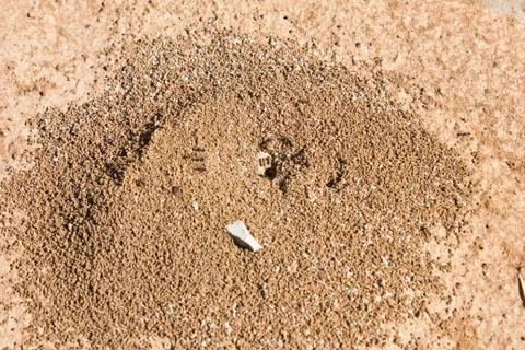 Sand background Stock Photos