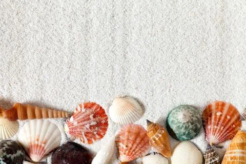 Sand Background With Seashells Фото