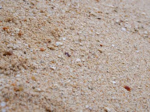 Sand background texture. Close-up of coarse sand grains Stock Photos