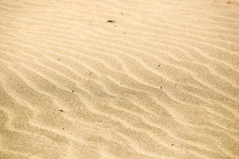 Sand Background Texture Stock Photos