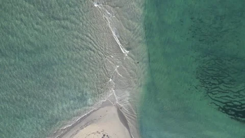 Sand bar and seagull Stock Footage 271535293