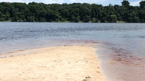 Sand Bar in the Rio Negro Stock Footage 222993282