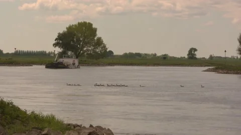 Sand barge sailing downstream the winding river IJssel + swimming geese Stock Footage 130644564