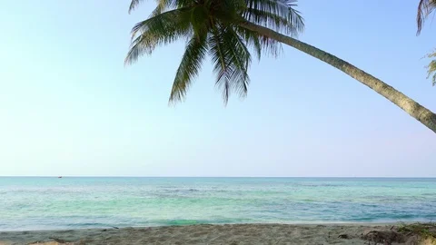 Sand beach and coconut tree in the morning with ripple wave at seashore against  Stock Footage 100804501