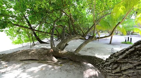 Sand beach and ocean wave, South Male Atoll. Maldives Stock Footage 47189531