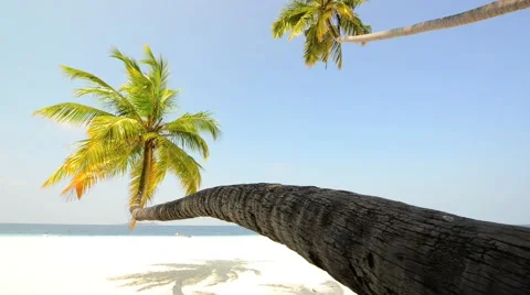 Sand beach and ocean wave, South Male Atoll. Maldives Stock Footage 47191952