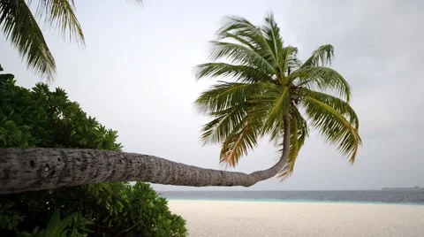 Sand beach and ocean wave, South Male Atoll. Maldives Stock Footage 47192850
