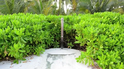 Sand beach and ocean wave, South Male Atoll. Maldives Stock Footage 47194342