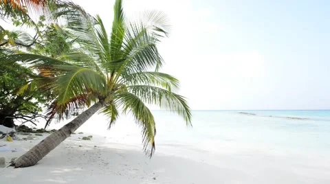Sand beach and ocean wave, South Male Atoll. Maldives Stock Footage 48552175