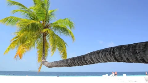 Sand beach and ocean wave, South Male Atoll. Maldives Stock Footage 49720642