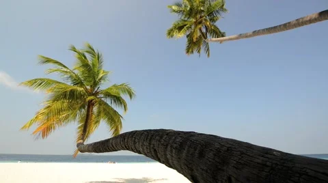 Sand beach and ocean wave, South Male Atoll. Maldives Video stock 51975152