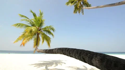 Sand beach and ocean wave, South Male Atoll. Maldives Stock Footage 51975366