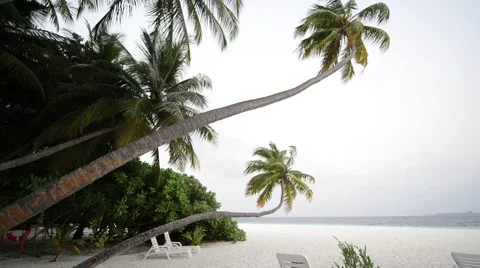 Sand beach and ocean wave, South Male Atoll. Maldives Stock Footage 51975780