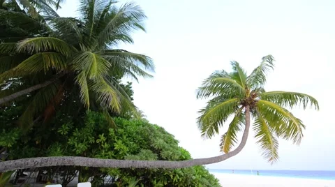 Sand beach and ocean wave, South Male Atoll. Maldives Video stock 51976472