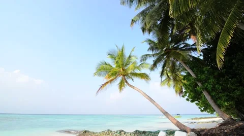 Sand beach and ocean wave, South Male Atoll. Maldives Stock Footage 51978128