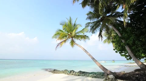 Sand beach and ocean wave, South Male Atoll. Maldives Stock Footage 51978198