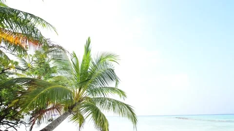 Sand beach and ocean wave, South Male Atoll. Maldives Stock Footage 51978979