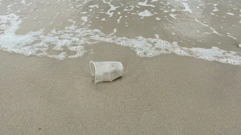Sand beach and a plastic cup Stock Footage 294855788