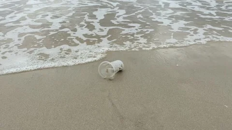 Sand beach and a plastic cup Stock Footage 294855849