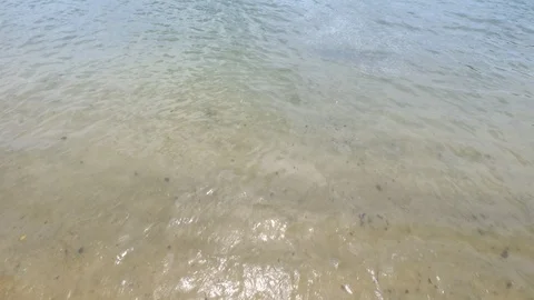 Sand beach and soft wave with blue water Stock Footage 106274112