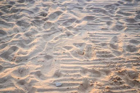 Sand on the beach for background. Close-up. Selective Focus 写真素材