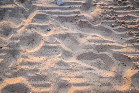 Sand on the beach for background. Close-up. Selective Focus 스톡 사진