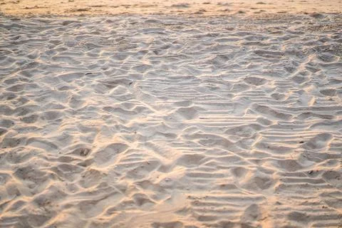 Sand on the beach for background. Close-up. Selective Focus 写真素材