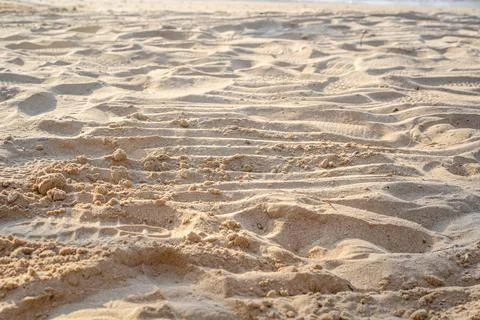 Sand on the beach for background. Close-up. Selective Focus Photos
