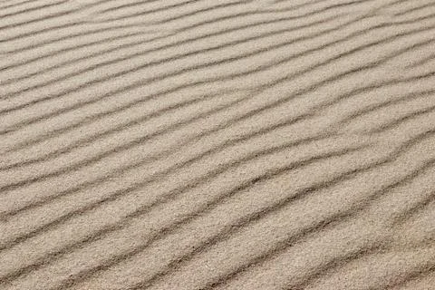 Sand on the beach as a background or texture Stock Photos