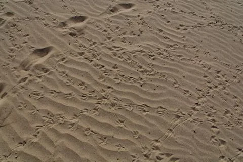 Sand on the beach as background Stock Photos