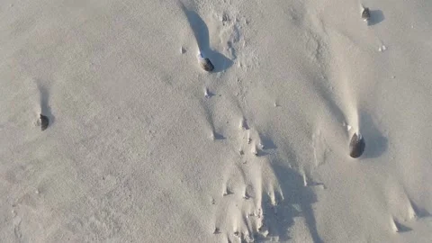Sand On Beach Blowing Over Shells Stock Footage 182042540