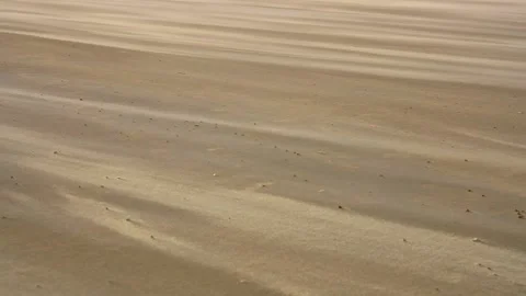 Sand on the beach blown by the wind, sandstorm concept Stock Footage 145677128
