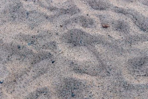 Sand on the beach close up, background, texture Stock Photos