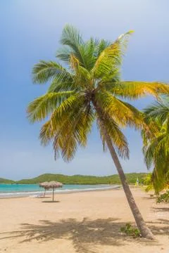 Sand beach in Cuba Stock Photos
