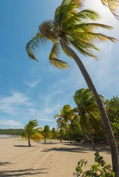 Sand beach in Cuba Stock Photos