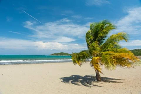 Sand beach in Cuba Stock Photos