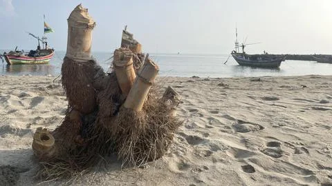 Sand on the beach with drifting chunks of dry bamboo roots  Stock Photos