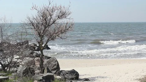 Sand beach Stock Footage 75324724