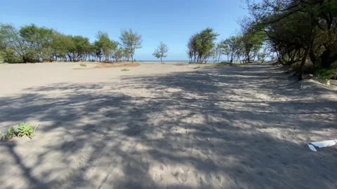 Sand on the beach Stock Footage 144095858