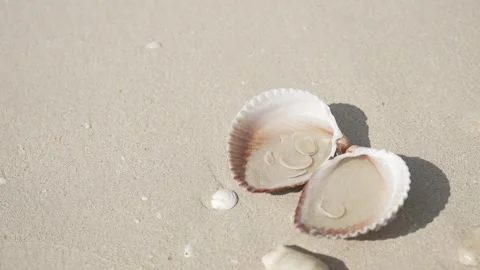 SAND IN BEACH Vidéo 300053545