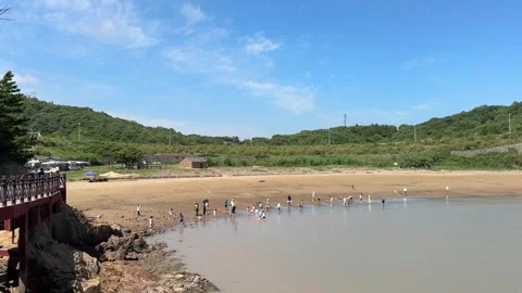 Sand beach Stock-Footage 313349706